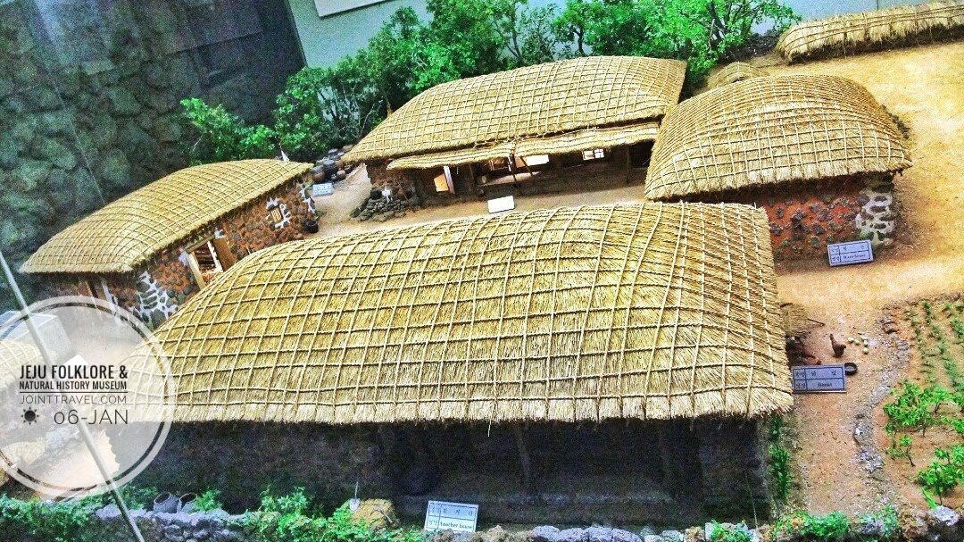 Jeju Folklore and Natural History Museum (제주도민속자연사박물관)