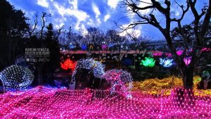 เที่ยว Pocheon สุดฟิน! ดินแดนแห่งธรรมชาติและวัฒนธรรมที่รอคอยให้คุณได้มาสัมผัส มีกิจกรรมมากมายไม่ว่าจะเป็นการเดินป่า, ล่องแก่ง, ปีนหน้าผา หรือการพักผ่อนในสปา มีที่พักหลากหลายสไตล์ที่ตอบโจทย์ทุกไลฟ์สไตล์ ไม่ว่าจะเป็นครอบครัวที่ต้องการความสนุกหรือการเดินทางแบบแบ็คแพ็คก็ตาม!