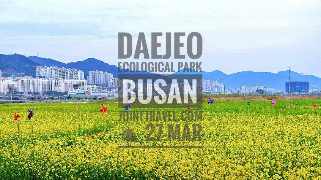 Daejeo Ecological Park (대저생태공원)