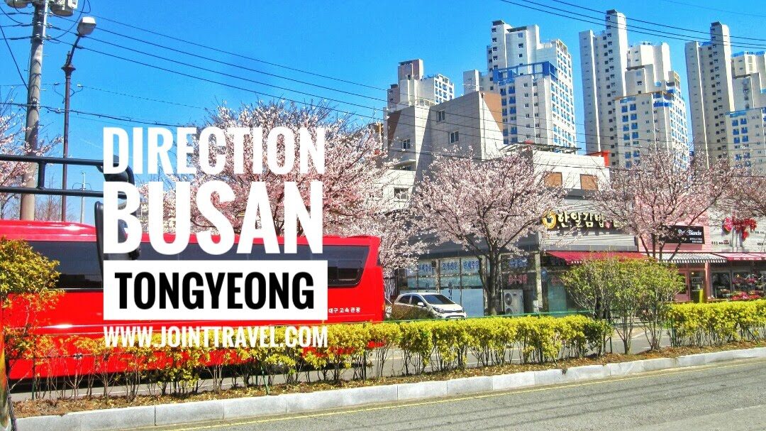 Direction Busan to Tongyeong by bus