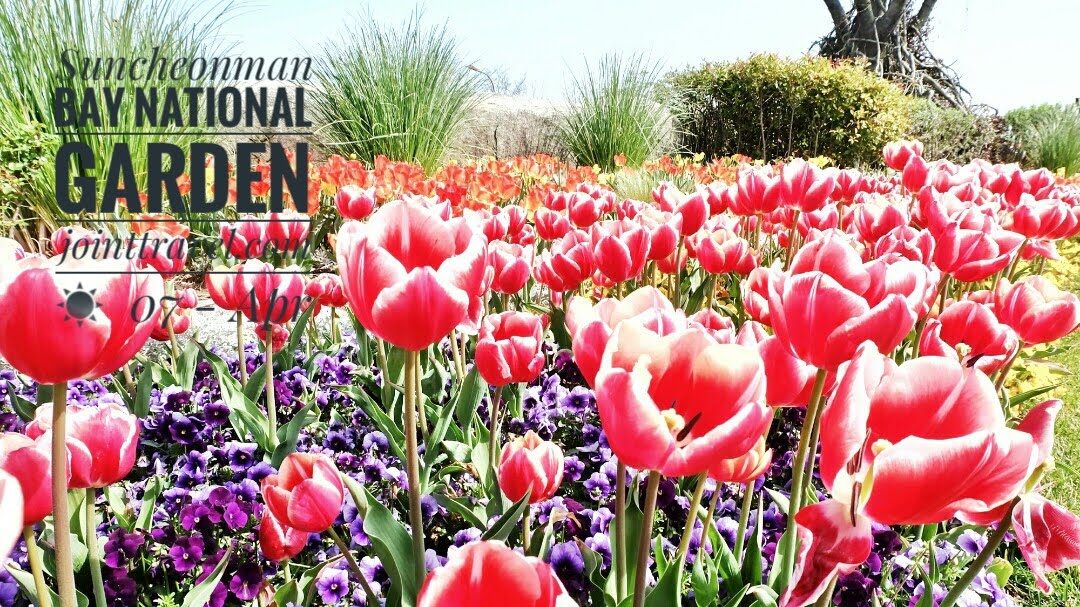 Suncheonman Bay National Garden (순천만국가정원)