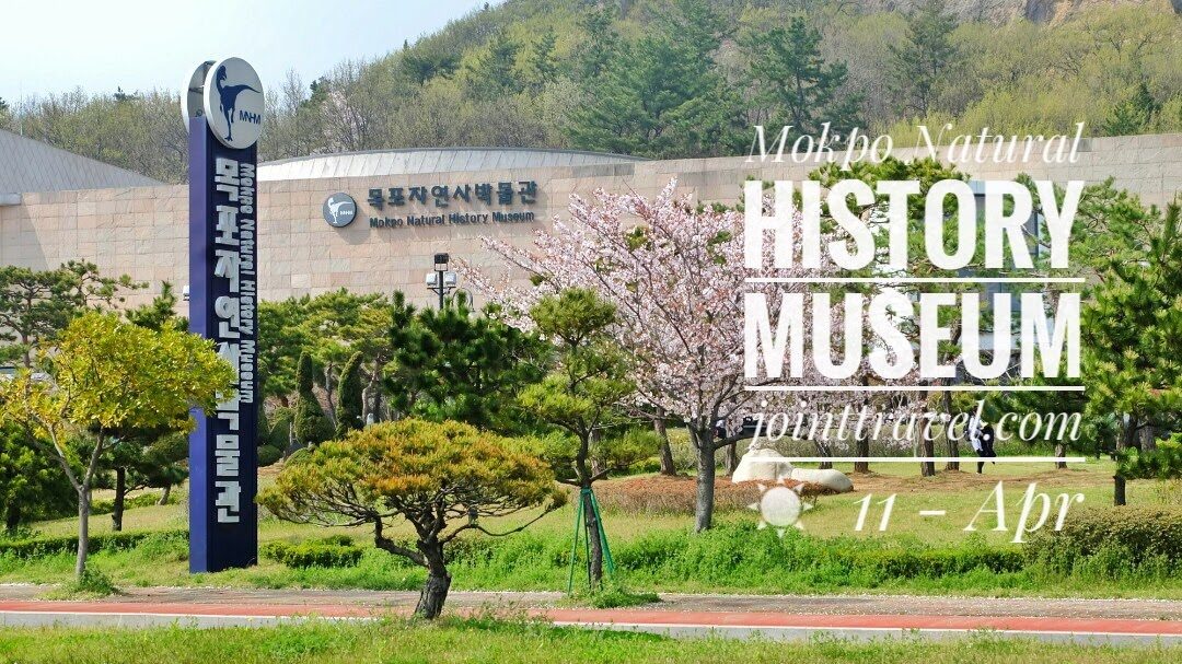 Mokpo Natural History Museum (목포자연사박물관)