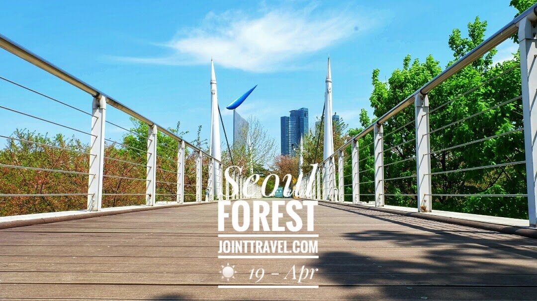 Seoul Forest