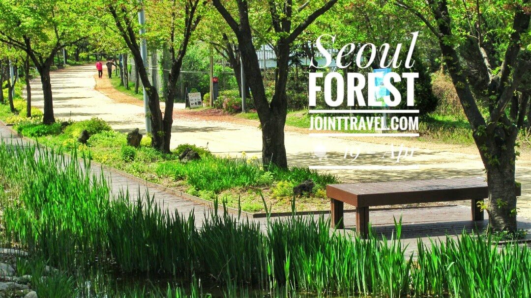 Seoul Forest