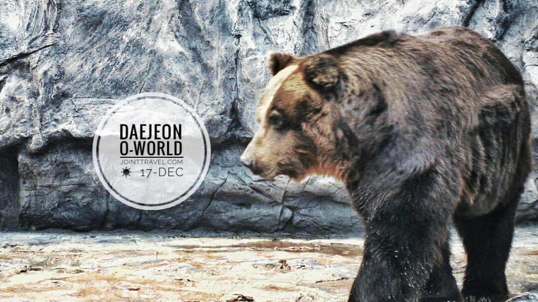 Daejeon O-World (대전오월드) 