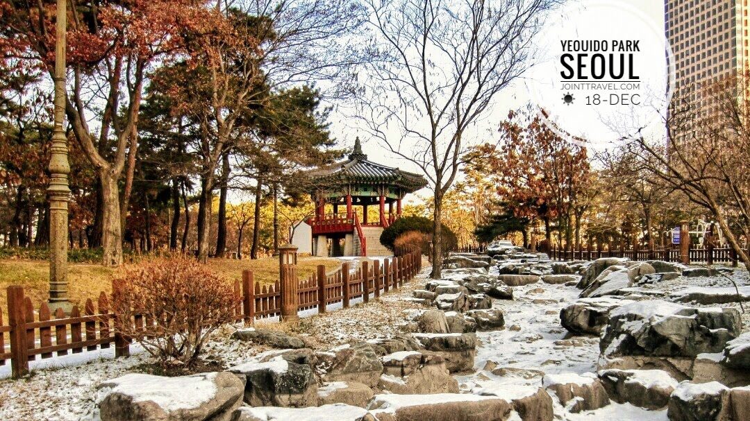 Yeouido Park (여의도공원)
