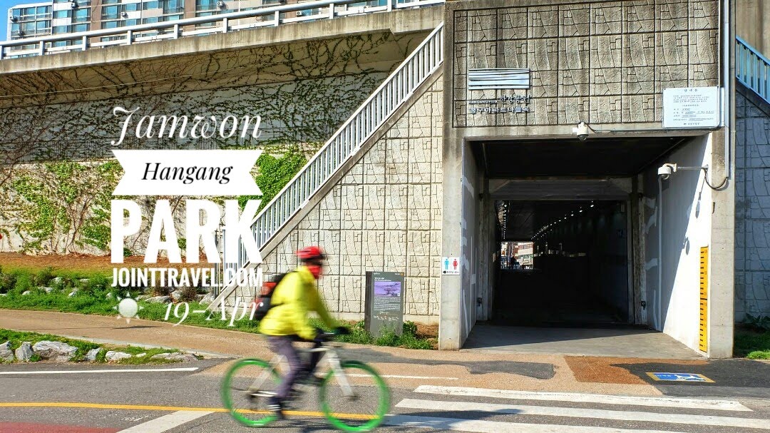 สวนสาธารณะชัมวอนฮันกัง (Jamwon Hangang Park)