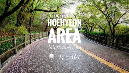 Namsan Park Hoehyeon Area