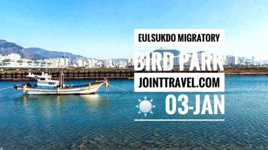 Eulsukdo Migratory Bird Park