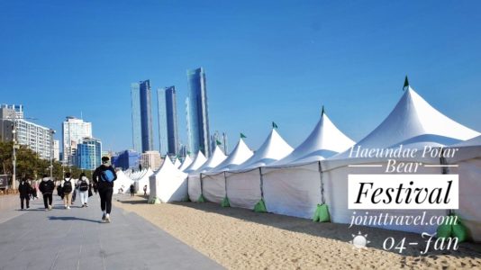 Haeundae Polar Bear Festival