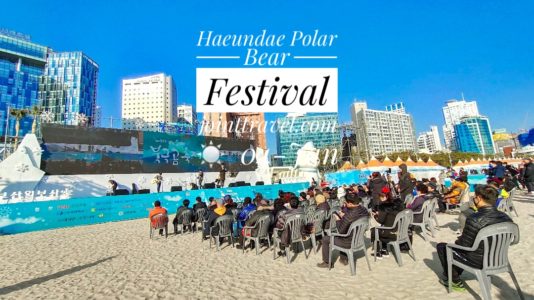 Haeundae Polar Bear Festival