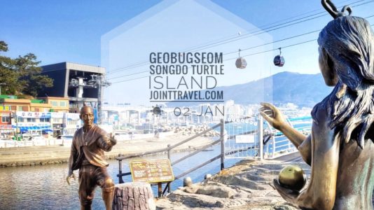 Songdo Turtle Island