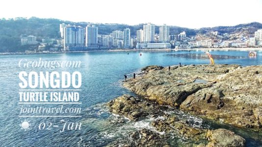 Songdo Turtle Island