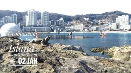 Songdo Turtle Island