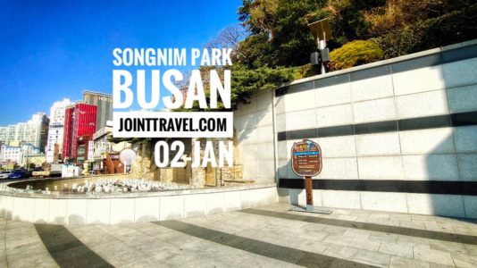 Songnim Park